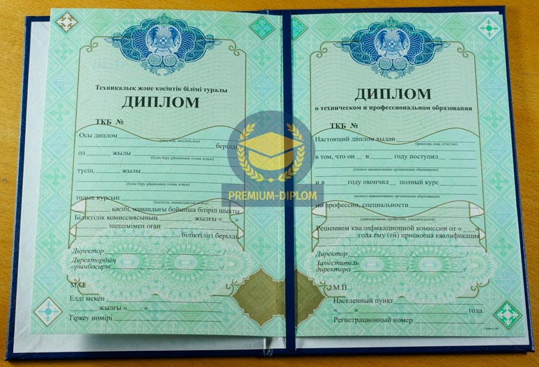 Техникум 2009-2026 (Казахстан) - фото